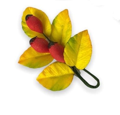 Decoratiune comestibila din zahar, crenguta de Măceș (Dog - rose) - Nati Shop